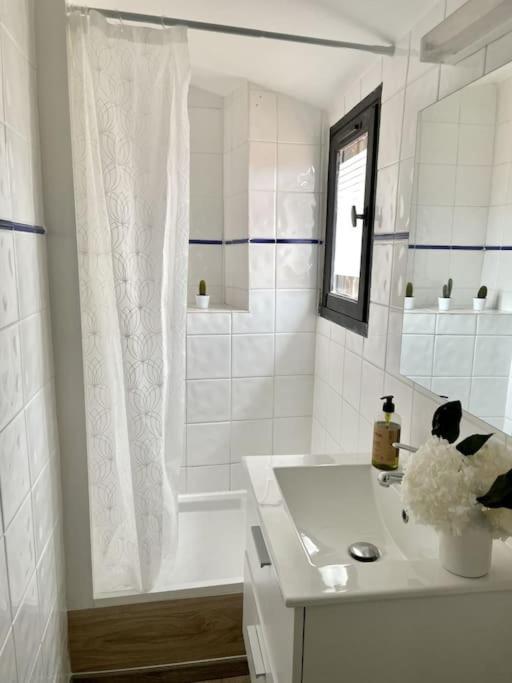 Sous Les Toits Tres Bien Place Et Climatise Appartement Montpellier